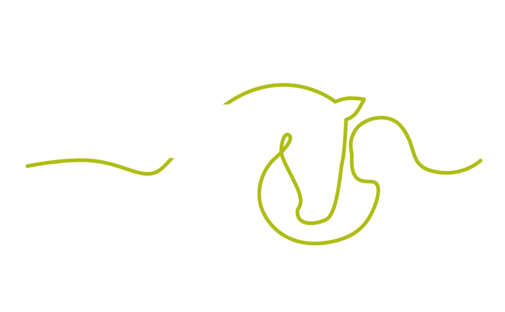 Dolomeetium Logo N