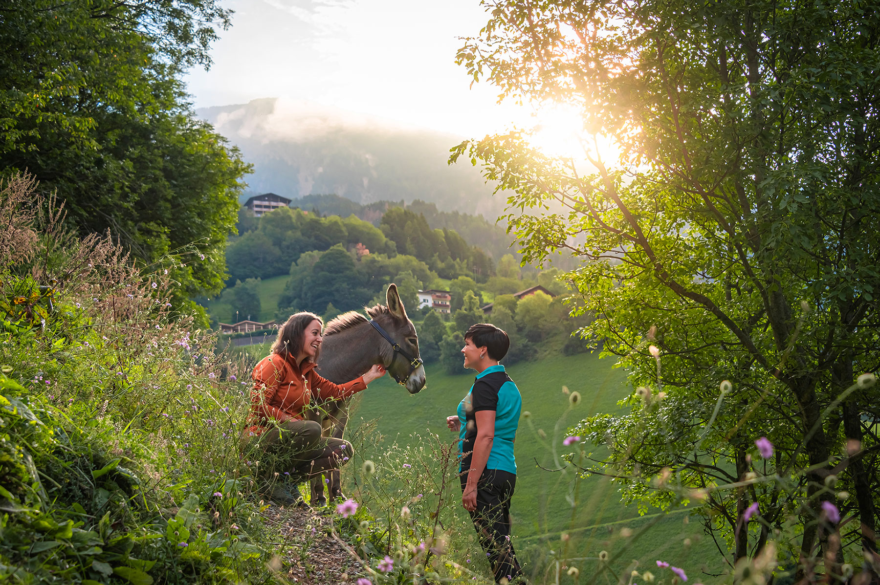 Naturcoaching Dolomeetium