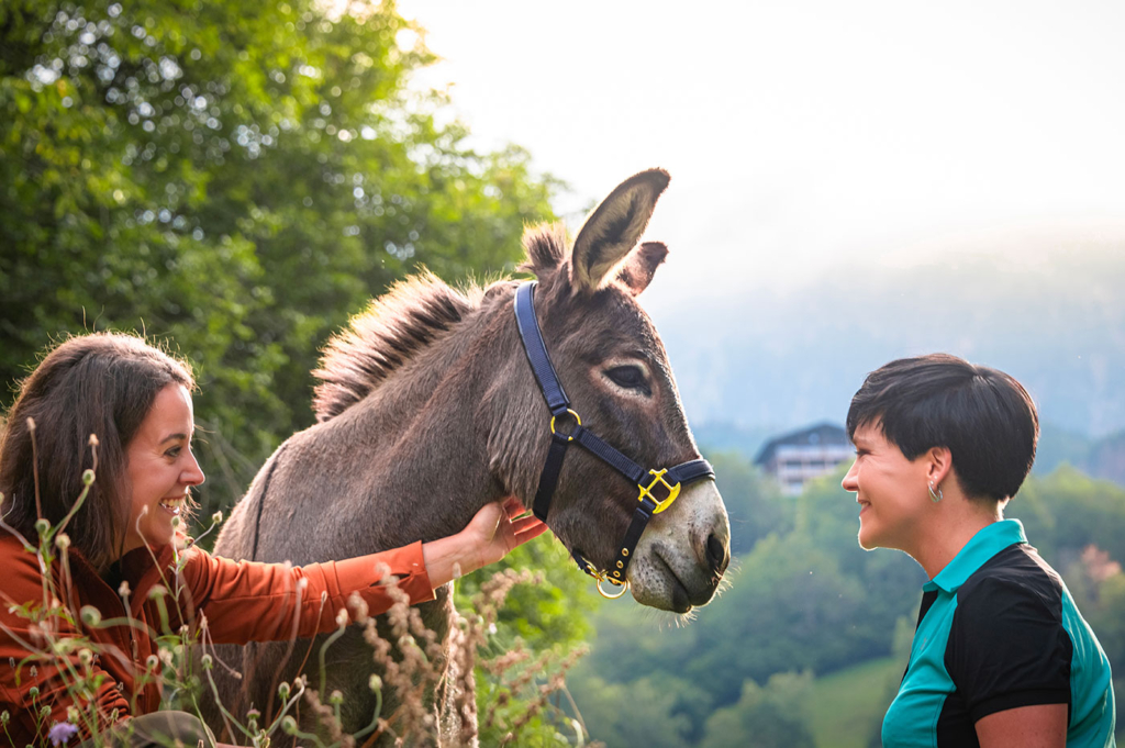 Outdoor Esel Coaching 01