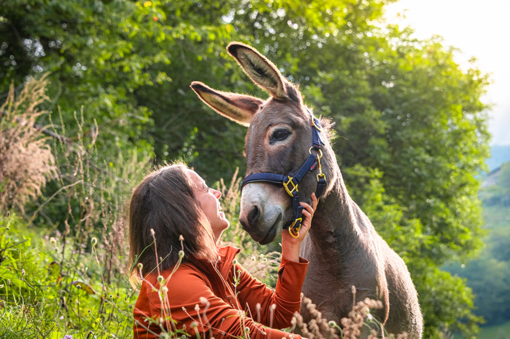 Outdoor Esel Coaching 02