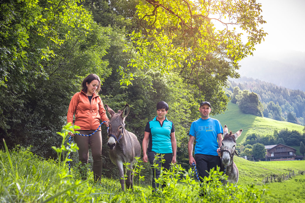 Outdoor Esel Coaching 03