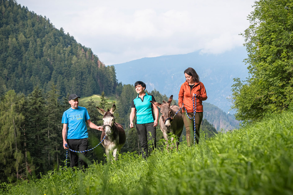 Outdoor Esel Coaching 05